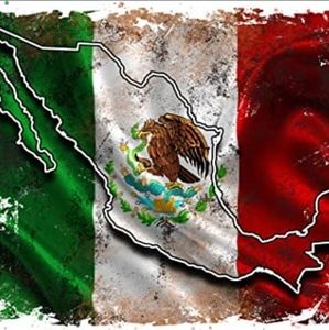 Meet your Posher, Vicente